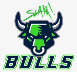 School Logo - Slam Academy