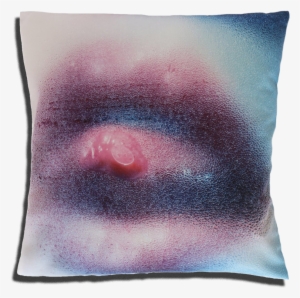 Marilyn Minter Pillow For Henzel Studio - Henzel Studio Untitled Art 0048 Cuscino