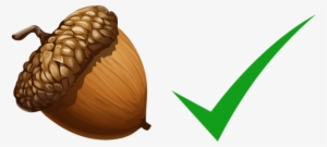 Nut Check - Acorn Png