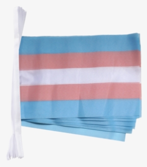 Long Transgender Pennant Banner - Throw Pillow