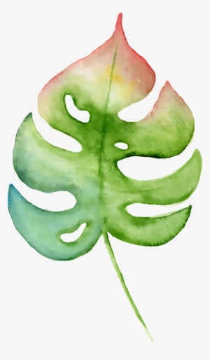 Hand Painted A Leaf Png Transparent - Watercolor Painting