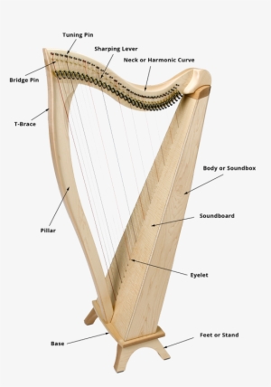 Harp Clipart Psalterion - Musical Instrument