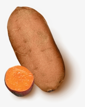 Moist & Sweet - Sweet Potato