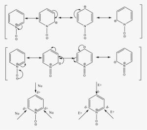 Formas Resonantes - N Oxido De Piridina