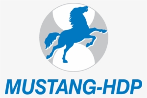 Mustang Hdp Jobs 2015 Saudi Arabia Apply Online - Mustang Engineering