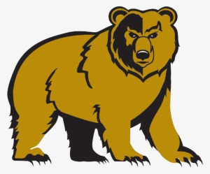 Banner Black And White Library Bears Clipart Golden - Shelbyville High School Golden Bears