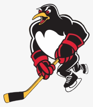 Wilkes Barre/scranton Penguins Mascotte - Ahl Penguins