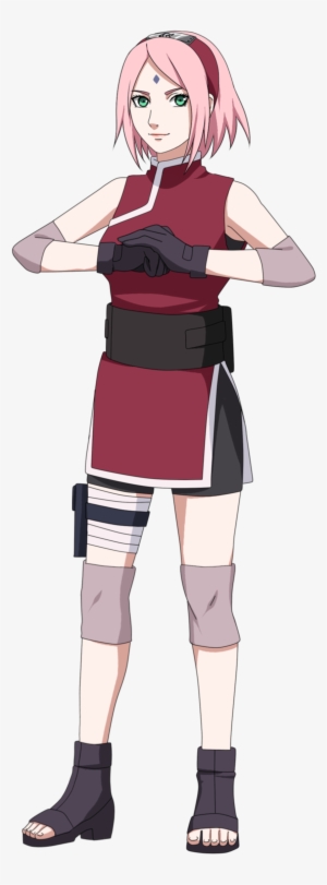 Krillin Sakura - Last Naruto The Movie Sakura Haruno Cosplay Costume