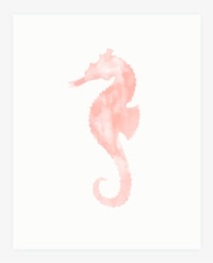 Seahorse Watercolor Print - Northern Seahorse