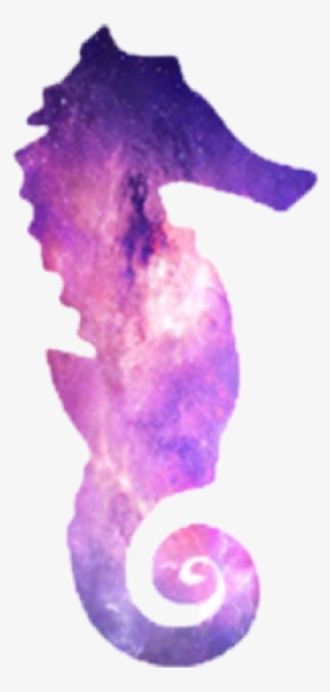 Freetoedit Scseahorse Seahorse - Aiòn. Teoria Generale Del Tempo
