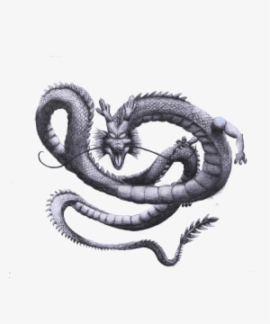 Shenron Transparent Drawing - Serpent