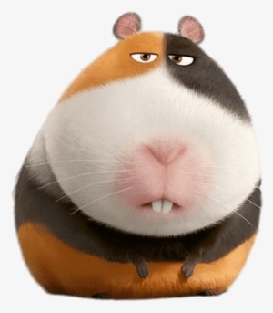 Annoyed Norman - Secret Life Of Pets Guinea Pig Name