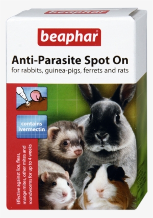 Beaphar Anti-parasite Spot On - Beaphar Anti Parasite Spot