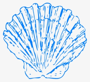Shell Clipart Png Clipartfest Shells Clipart Png 600 - Shell Clipart Png