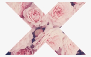 Cruz Flores Rosas Grunge Pink Tumblr - Desktop Backgrounds Tumblr Vintage Flowers
