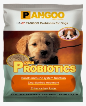 Probiotics For Dogs - Probiotics Pigs