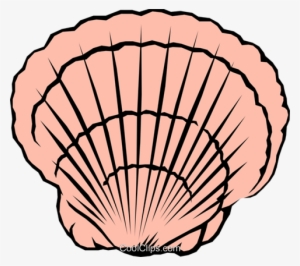 Scallop Shell - Applique Osier