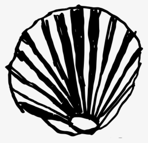 Shell Clipart Png Download - Clip Art Shell
