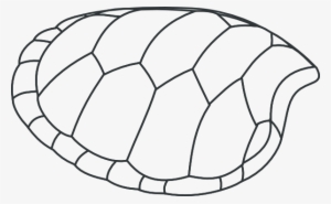 Turtle Shell Clipart Image - Draw A Turtle Shell
