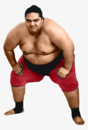 Sumo Png - Transparent Sumo Wrestler Png