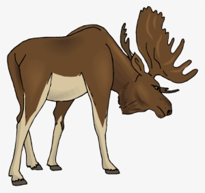 Free - Clipart Moose