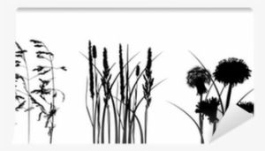 Black Grass Silhouettes Isolated On White Wall Mural - Illustration