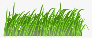 Grass Lawn Green Nature Spring Meadow Summ - Cartoon Grass