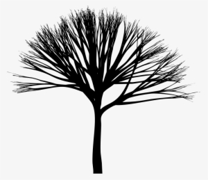 Medium Image - Silhouette