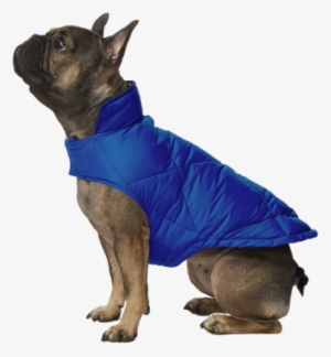 Https - //cdn - Shopify - Com/s/files/1/ - Dog Diamond Quilted Down Vest