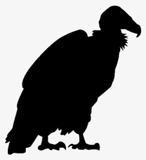 Vulture± - Vulture Silhouette