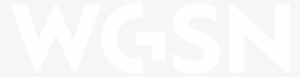 Png - Wgsn Logo White