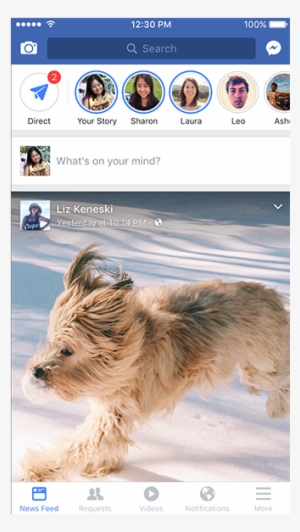 Dog Snapchat Filter Png