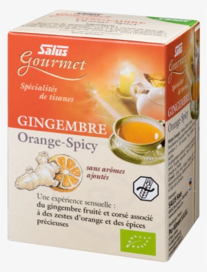 Salus Organic Gourmet Tea Ginger Orange Spicy, Tea