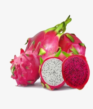 Dragon Fruit Png Image