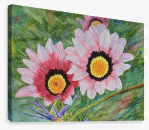 Two Daisies Canvas Print - Gazania