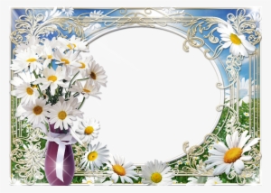 Summer Photo Frame Bouquet Of Daisies - Natural Wellness Strategies For Pregnancy By Laurel