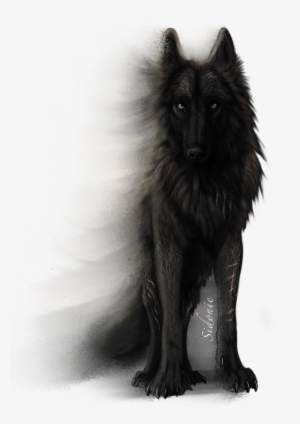 Fera Corda By Sidonie - Sirius Black Dog Drawing