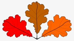 How To Set Use 3 Oak Leaves Svg Vector