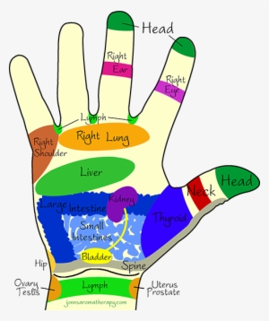 All Of The Reflexology Images Of Hands And Feet Shown - Massaging Points On Hands