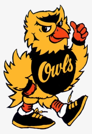 Old Kennesaw State Owl