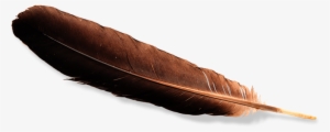 Eagle Feather - Eagle Feather Law