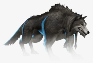 Black Wolf Png