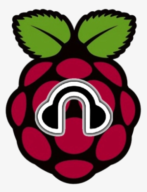 Install Headphones Raspberry Pi For Usenet Torrent