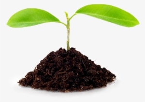 Sustainability - “ - Soil