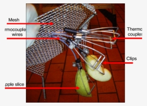 Attachment Of Apple Slices To The Thermocouples For - Heat