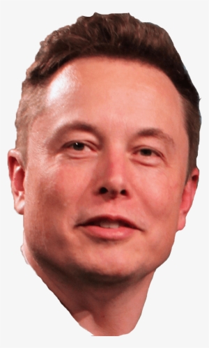 Elon Musk - Elon Musk: A Biography Of Business, Success