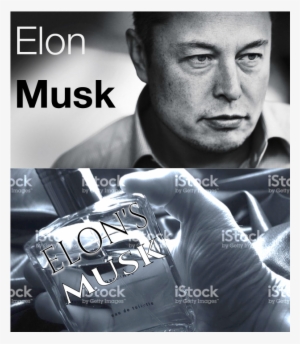 Elon's Musk - Elon Musk- Top 10 Business Lessons Through An Inspiring