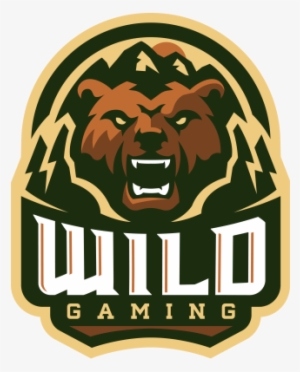 Global Offensive - Wild Gaming