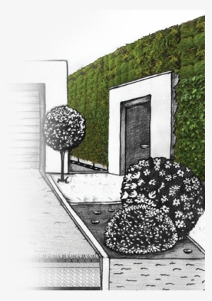 Wall