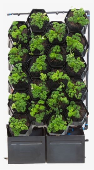 20 Pot Green Wall - Automated 2